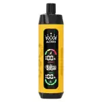 AL FAKHER CROWN BAR 20K(20000) Puffs 30ML E-liquid LCD Screen Leather Wrap 850mAh Type-C Battery Disposable Vape