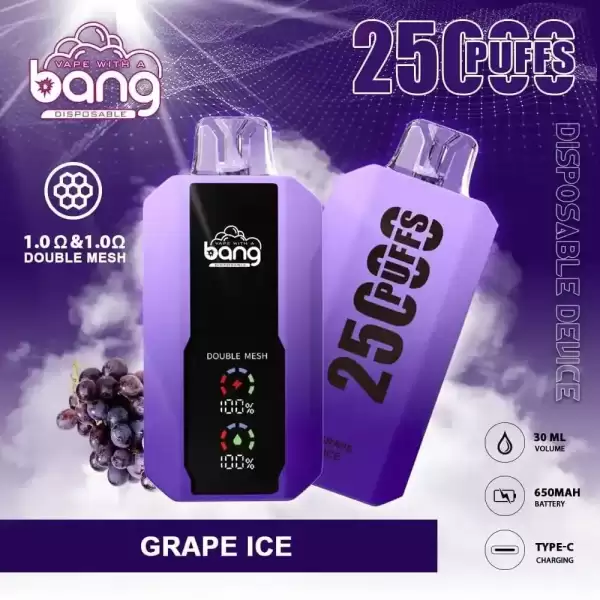 Bang 25K (25000) Puffs LCD Display 30ml E-liquid 650 mAh Battery 0% 2% 3% 5% Nicotine Disposable Vape 10 Bang 25K(25000) Puffs LCD Display 30ml E-liquid 650 mAh Battery 0% 2% 3% 5% Nicotine Disposable Vape