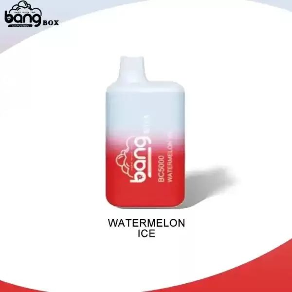 Bang Box BC 5K (5000) Puffs 2% 5% Nicotine 13ml E-liquid Type-C Charging Disposable Vape Pen 2 Bang Box BC 5K(5000) Puffs 2% 5% Nicotine 13ml E-liquid Type C Charging Disposable Vape Pen