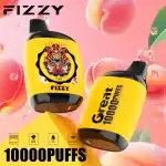 Fizzy Great 10K (10000) Puffs 18ML E-liquid Mesh Coil 650 mAh Battery 2% 5% Nicotine 10flavors Disposable Vape