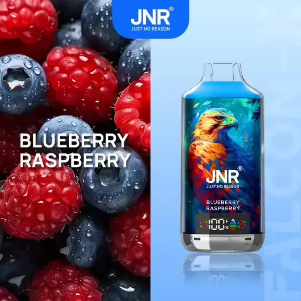 JNR Falcon X 18K (18000) Puffs LED Display 2% Nicotine 24ml E-liquid Disposable Vape 6 JNR Falcon X 18K (18000) Puffs LED Display 2% Nicotine 24ml E-liquid Disposable Vape