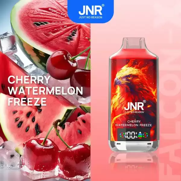 JNR Falcon X 18K (18000) Puffs LED Display 2% Nicotine 24ml E-liquid Disposable Vape 12 JNR Falcon X 18K (18000) Puffs LED Display 2% Nicotine 24ml E-liquid Disposable Vape
