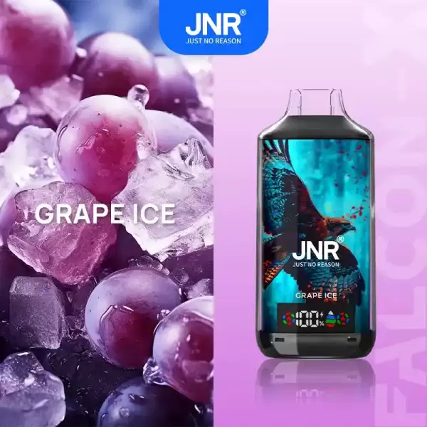 JNR Falcon X 18K (18000) Puffs LED Display 2% Nicotine 24ml E-liquid Disposable Vape 14 JNR Falcon X 18K (18000) Puffs LED Display 2% Nicotine 24ml E-liquid Disposable Vape