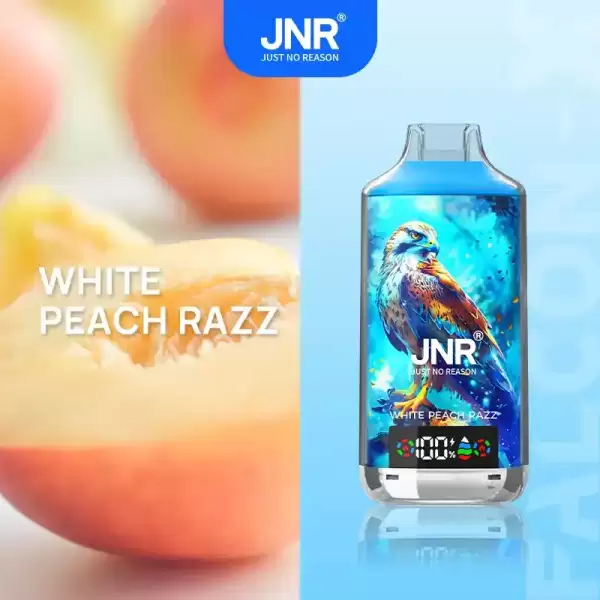 JNR Falcon X 18K (18000) Puffs LED Display 2% Nicotine 24ml E-liquid Disposable Vape 31 JNR Falcon X 18K (18000) Puffs LED Display 2% Nicotine 24ml E-liquid Disposable Vape